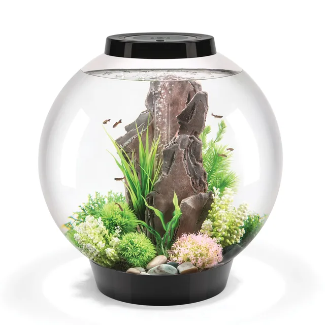 Standard Light 16 gallon black 12v