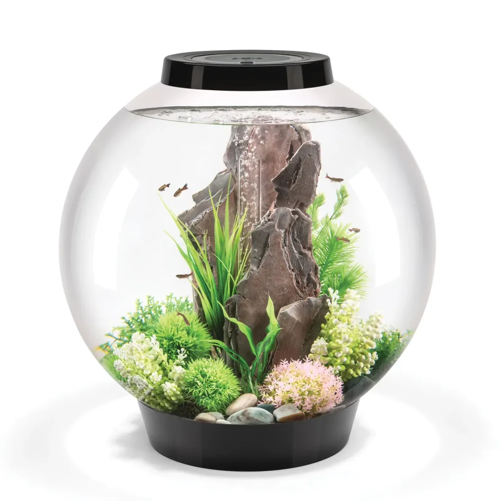 Standard Light 16 gallon black 12v
