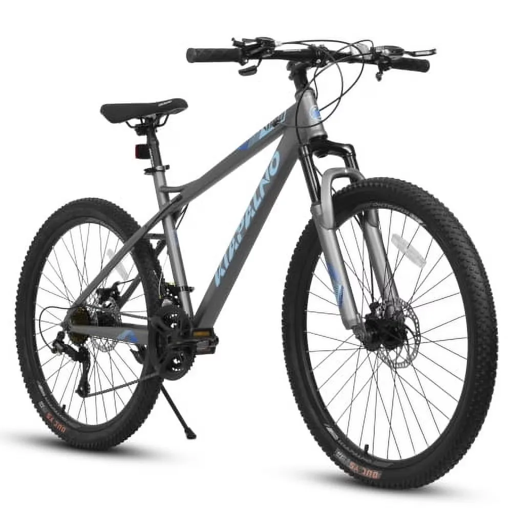 Mountain Bike blue grey