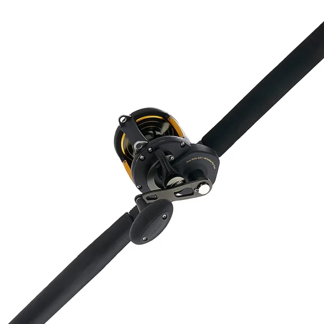 Rod 6'