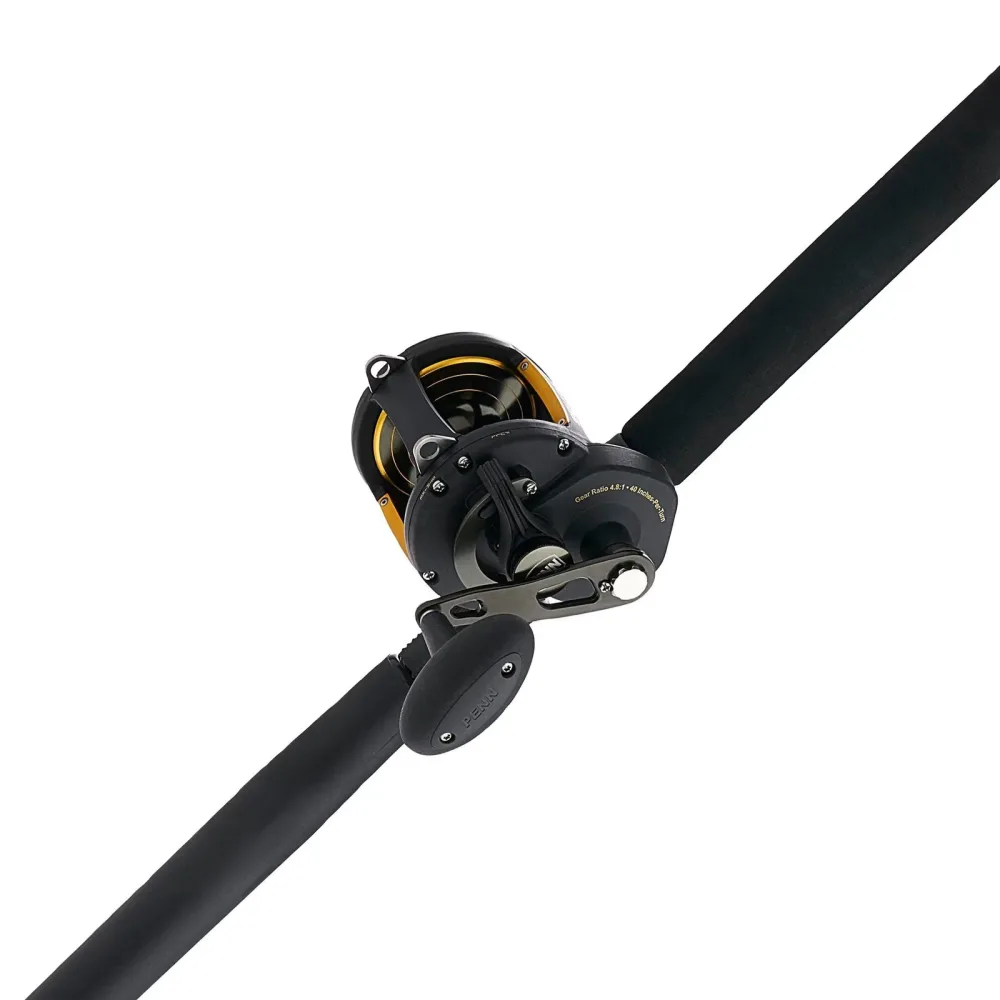 Rod 6'