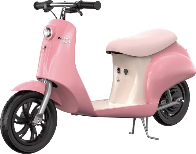 Electric Scooter 24v 12" 305 mm