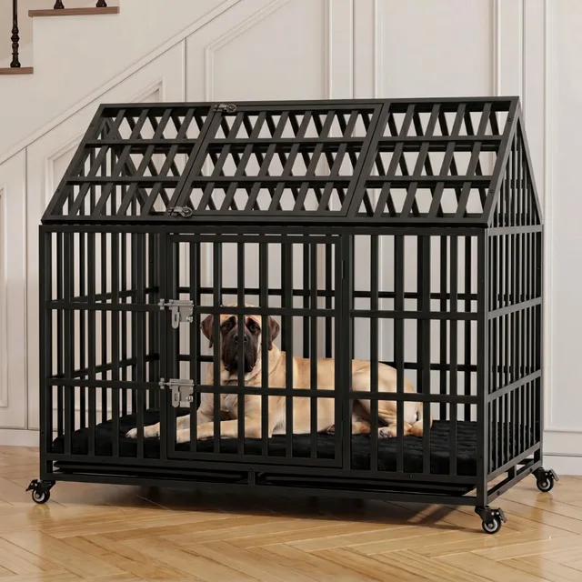 Dog Crate locking