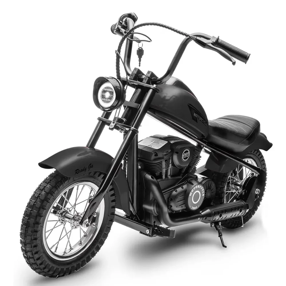 Dirt Bike 24v 250w led