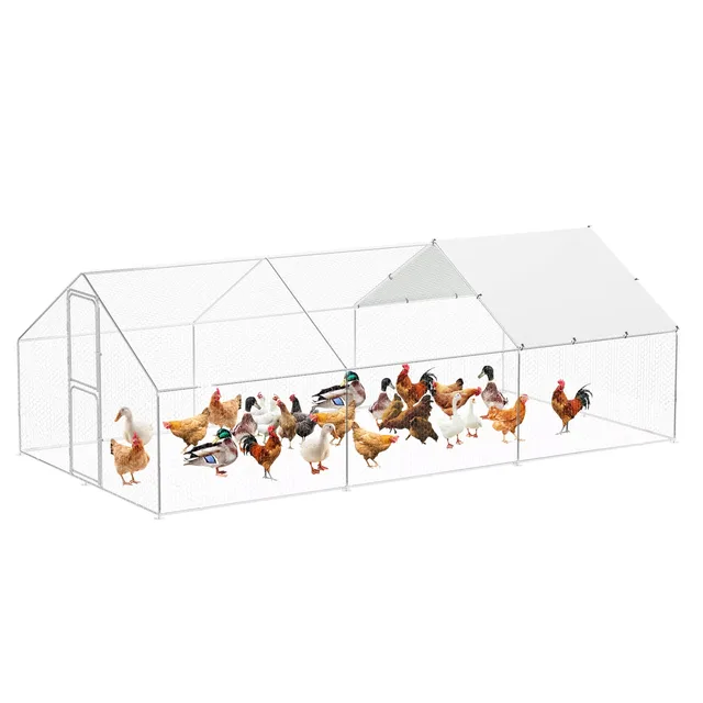 Chicken Coop 6.5' 9.8' 6.6'