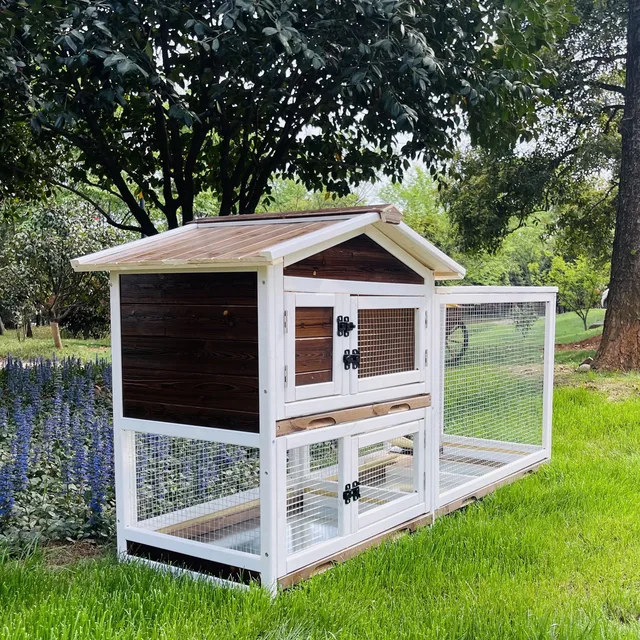 Chicken Coop 59.65" 23.62" 31.9"