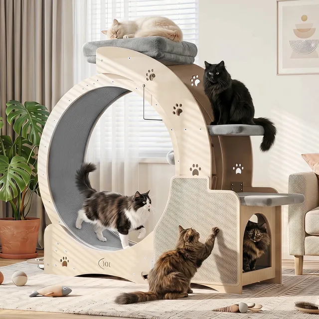 Exercise Wheel 40" 37 lb