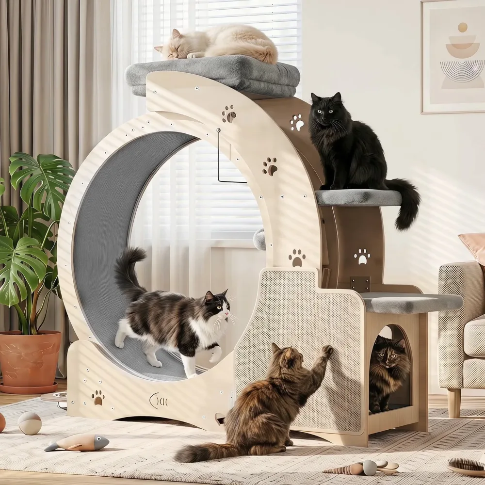 Exercise Wheel 40" 37 lb