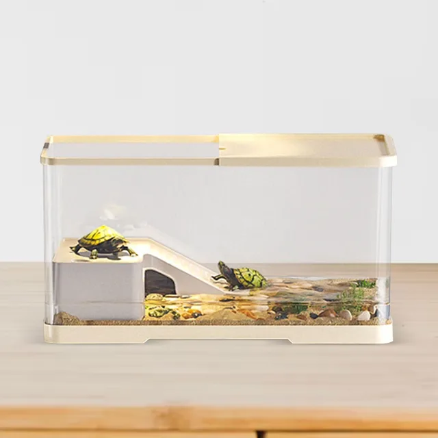 Turtle Tank 2cm green