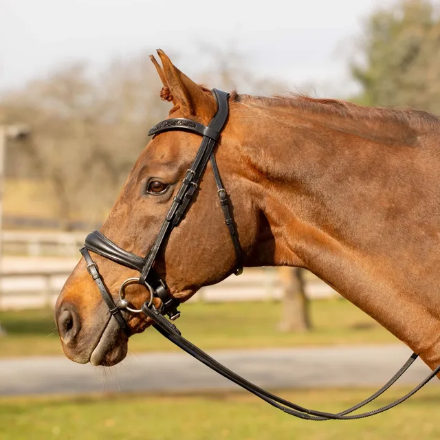 Feed & Hay black