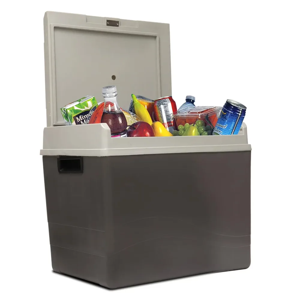 Cooler 12v 12 v portable