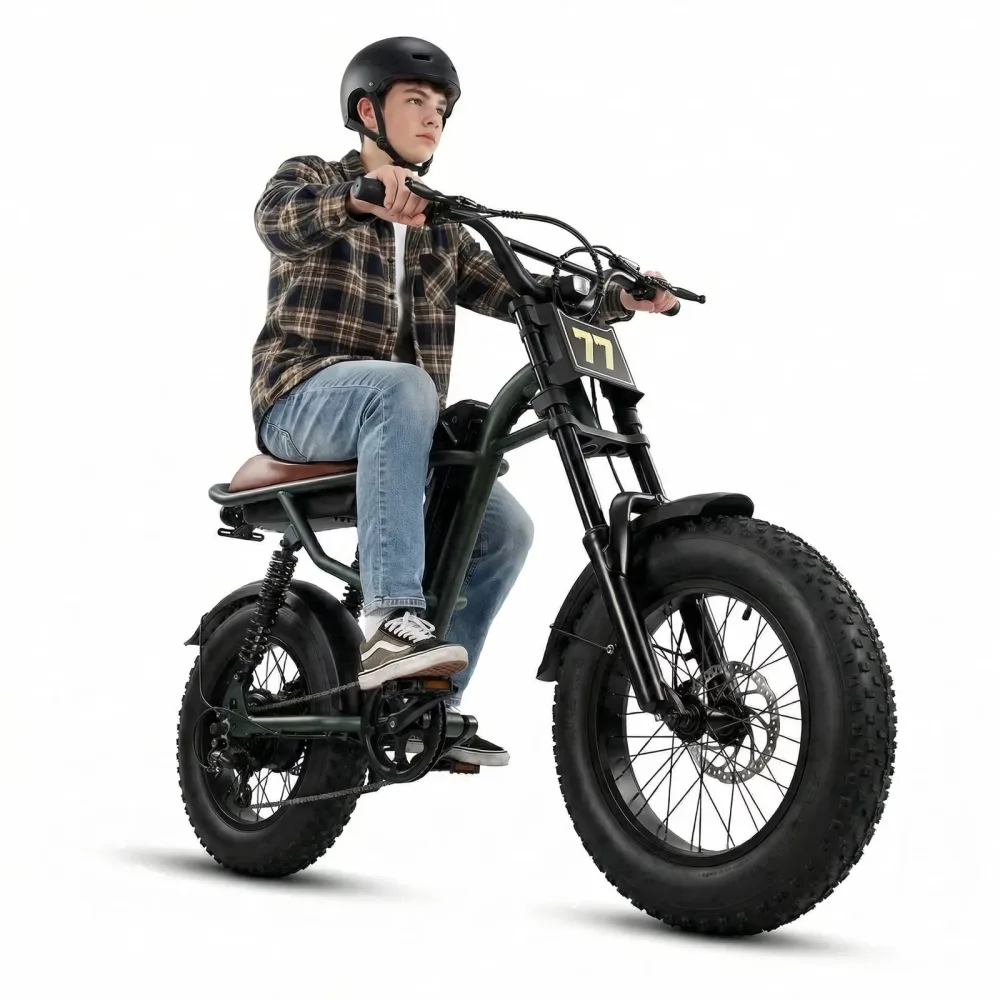 Electric Bike 1000w 16" 48v