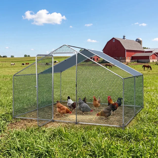 Feed & Hay 10ft 6.5 w 6.43ft