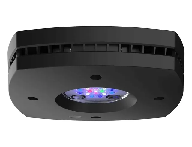 Reef Light led black 24 inches