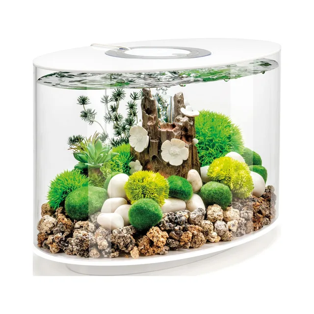 Standard Light 4 gallon white 12v