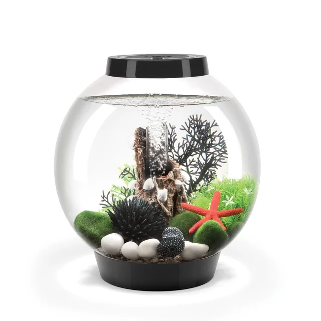 Standard Light 4 gallon black 12.5 in