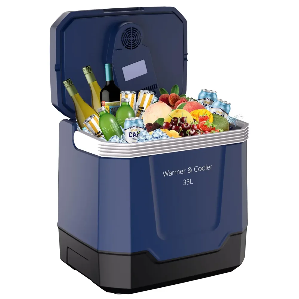 Electric Cooler 12v 110v portable
