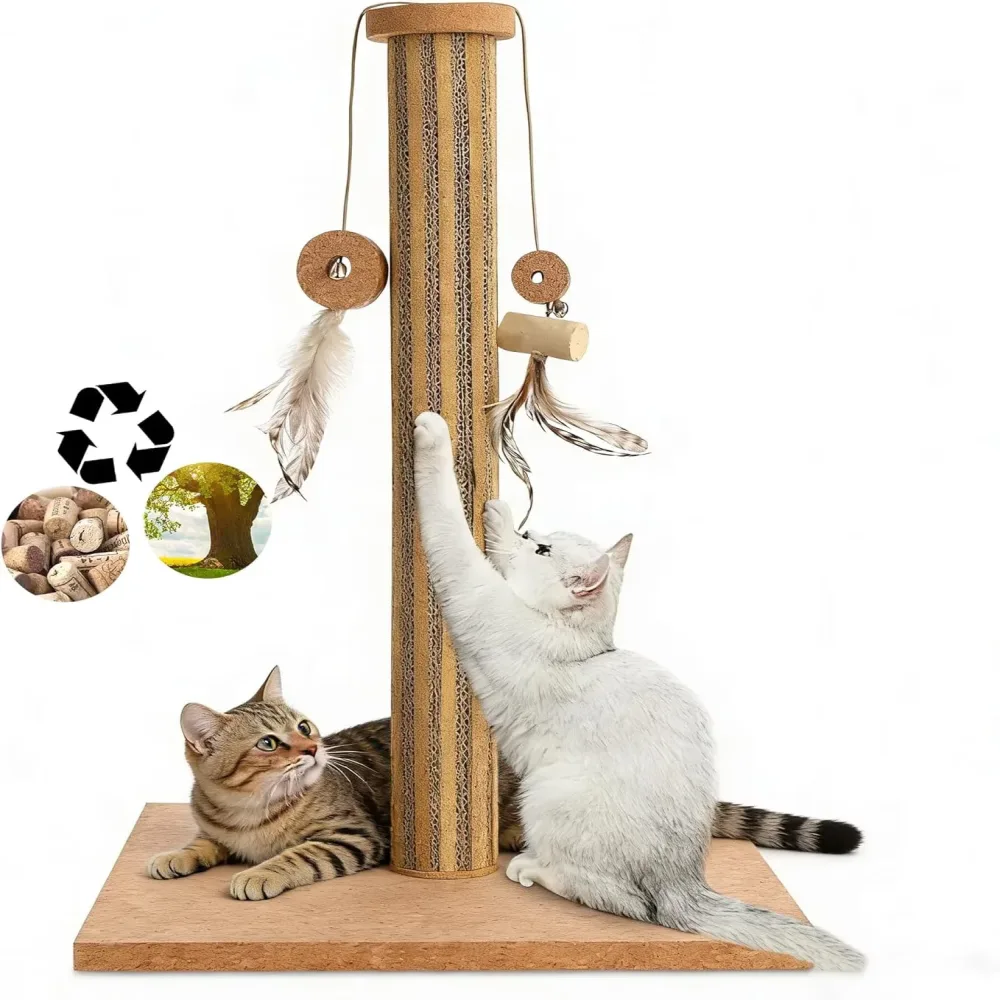 Toy