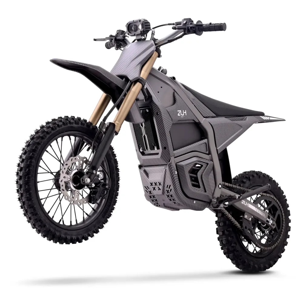 Dirt Bike 48v 2600w 12 inch