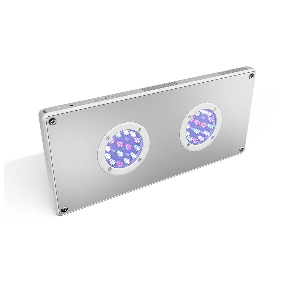 Reef Light 100w led white