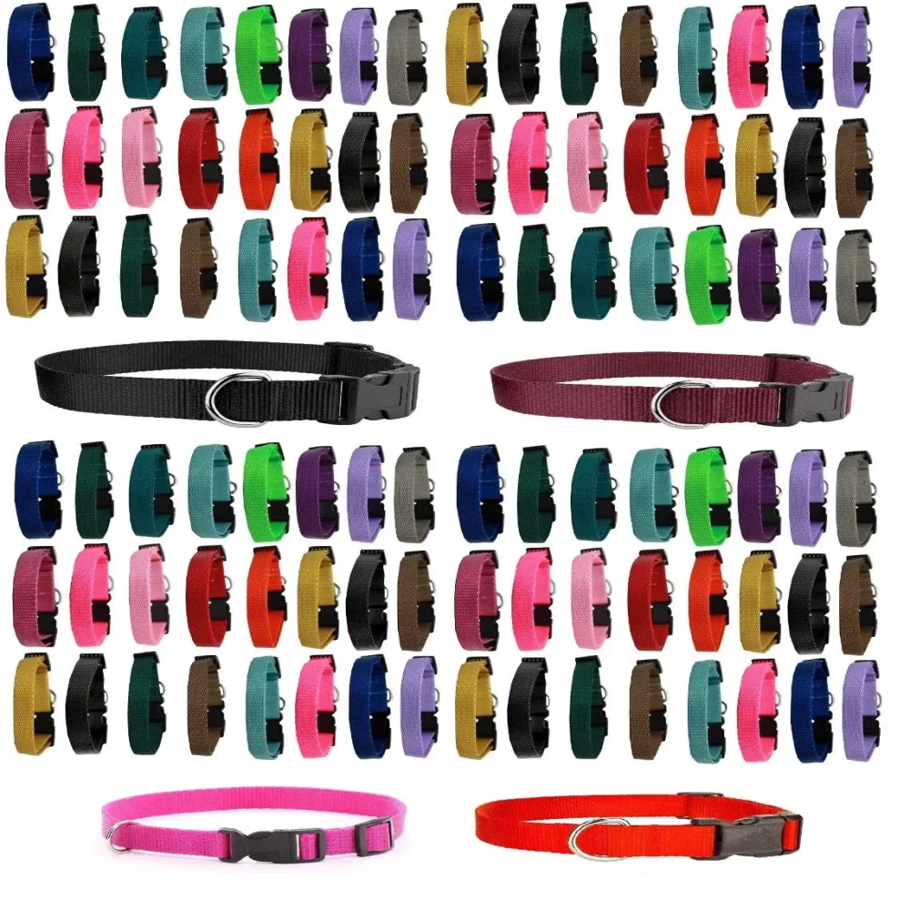 Dog Collar 10 inch adjustable
