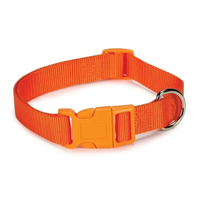 Dog Collar 10 inch adjustable orange