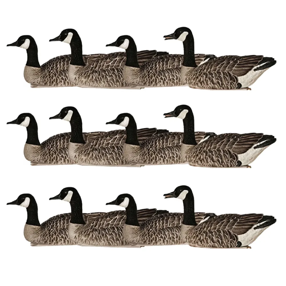 Rangefinders 12 pack 14.50 inches 18 pounds