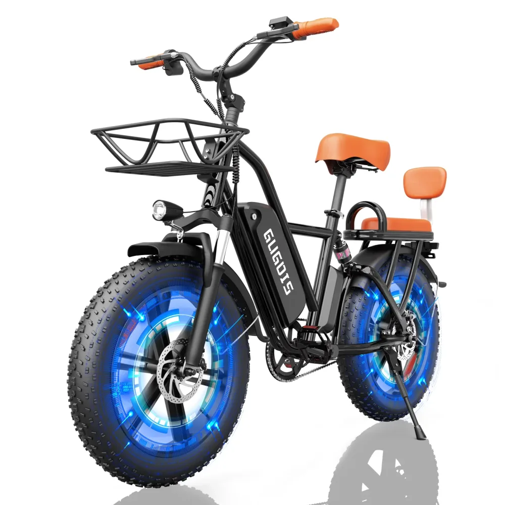Electric Bike 750w 20" 48v