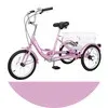 Wheel Bikes 16 inch 16" 9"