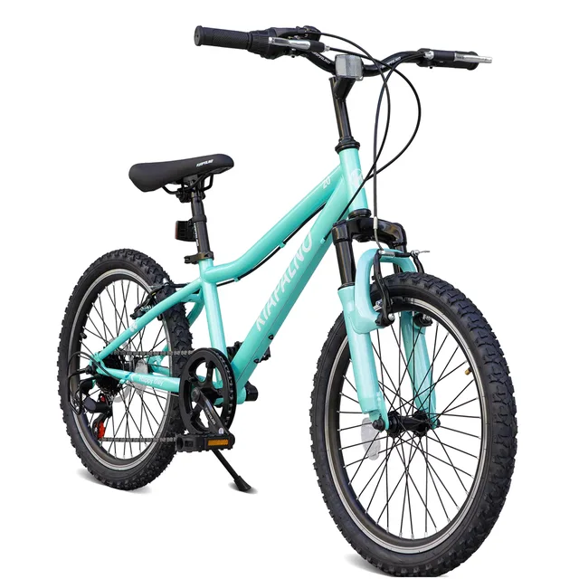 Mountain Bike 20 inch adjustable green