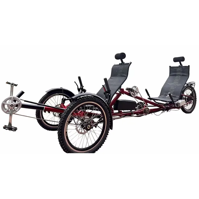 Electric Bike 500w adjustable 1500w