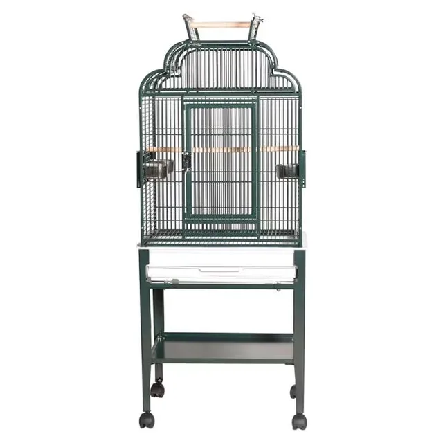 Bird Care 17 in green 22"