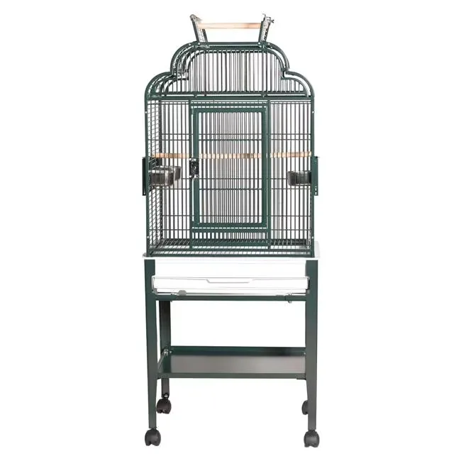 Bird Care 17 in green 22"
