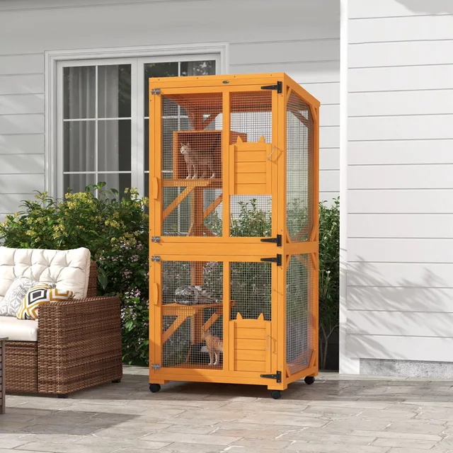 Box Cats 71" orange 60 lb