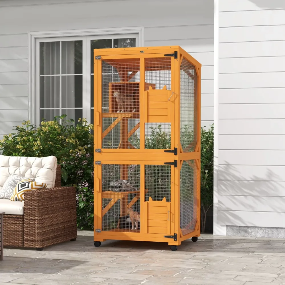 Box Cats 71" orange 60 lb