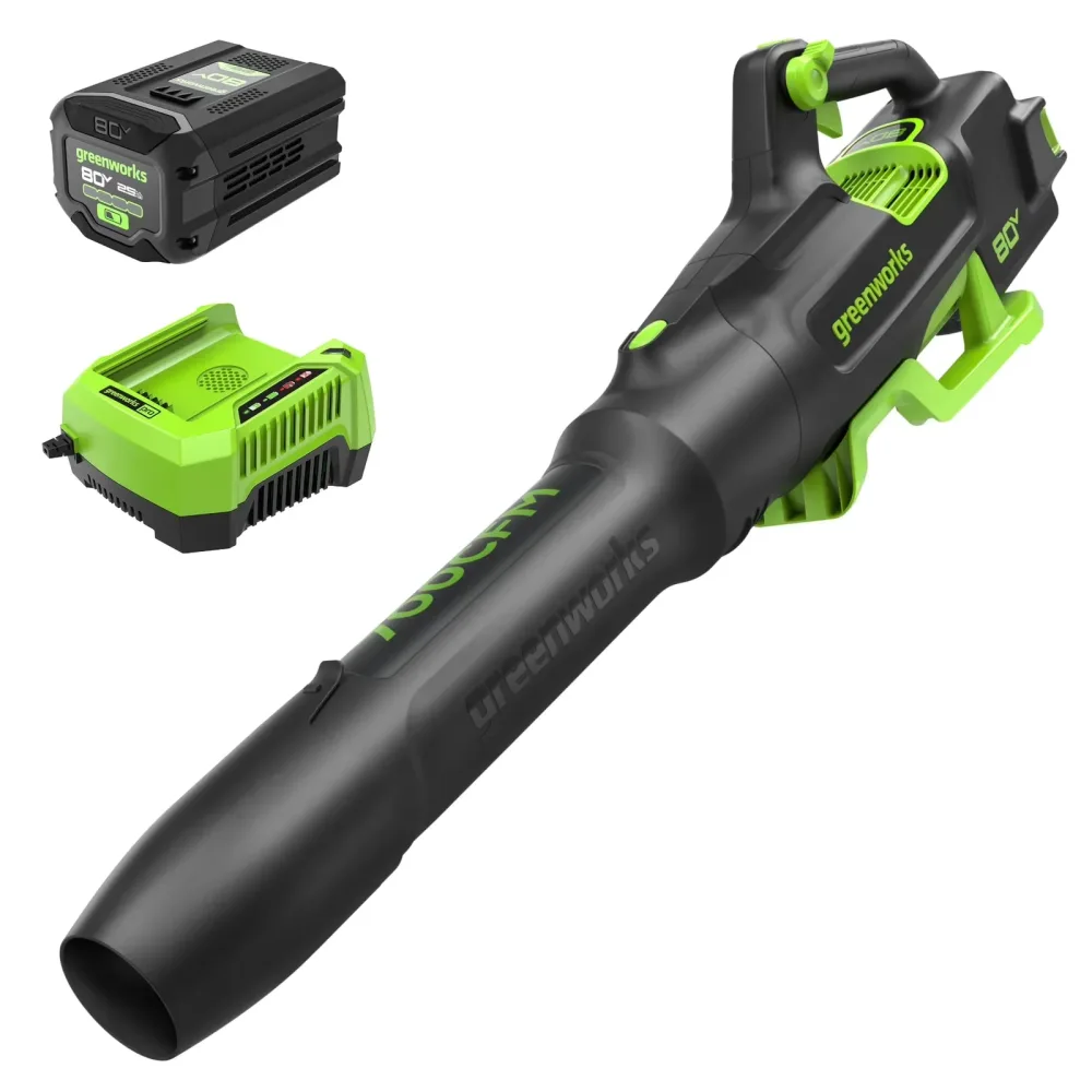 Battery 80v adjustable
