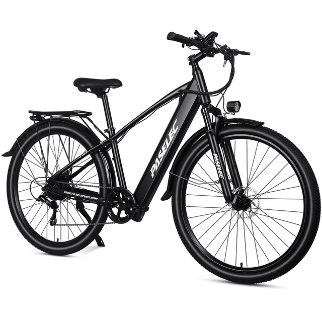 Electric Commuter 29" 1000w 48v