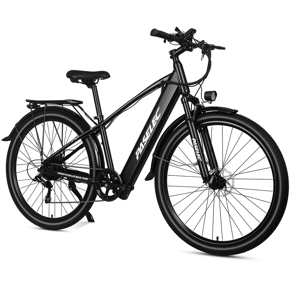Electric Commuter 29" 1000w 48v