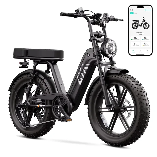 Electric Bike 20" 750w 48v