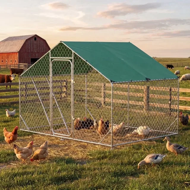 Chicken Coop 4ft 118.11" 78.74"
