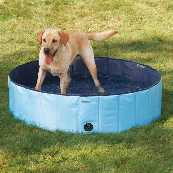 Pool blue 47" 12"