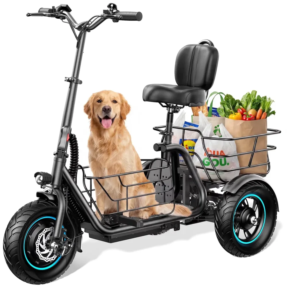 Wheel Electric 650w 300 lb 1000w