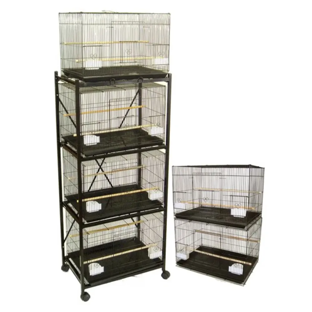 Bird Cage black white