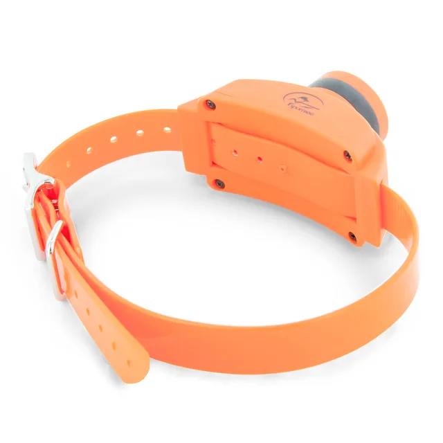 Collars & Travel 22"