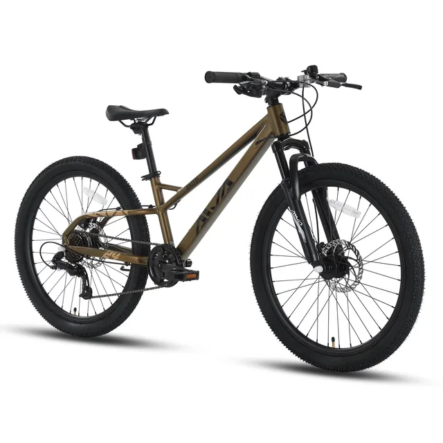 Mountain Bike 24 inch 9" 5"