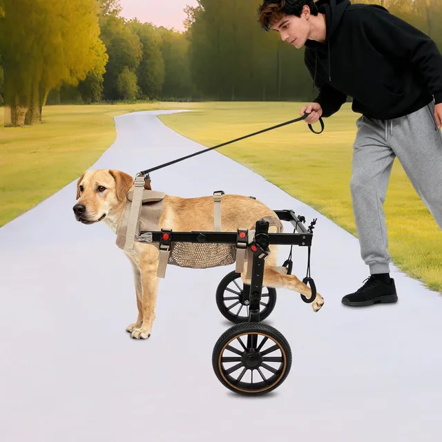 Wheel adjustable