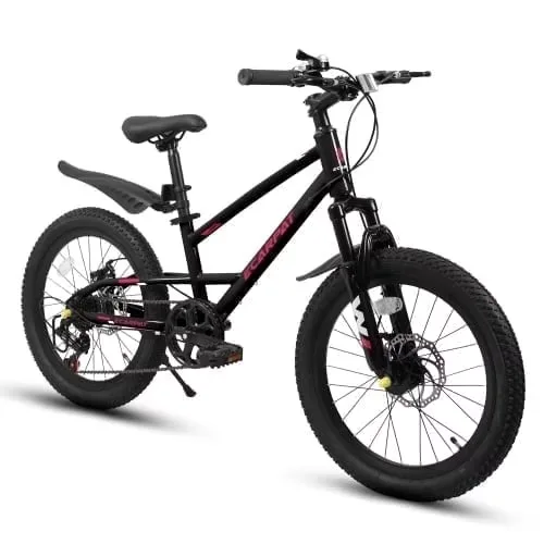 Bike 20 inch blue black