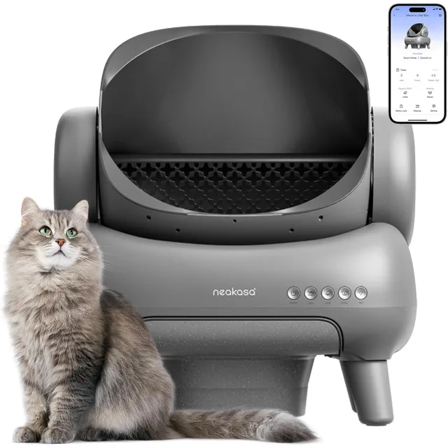 Cat Litter
