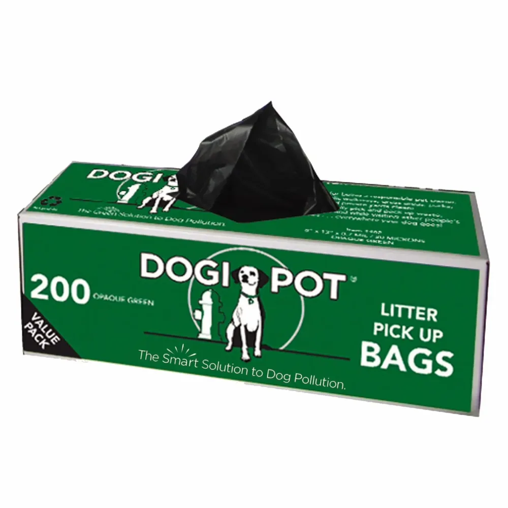 Bag green 13" 8"