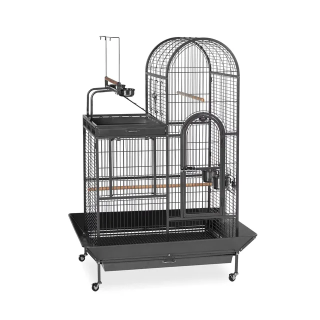 Bird Care black 10" 4"